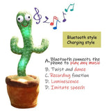 Dancing Cactus Toys
